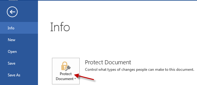 image of Protect Document option