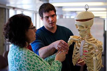 Students Studying Skeleton in Anatomy Lab