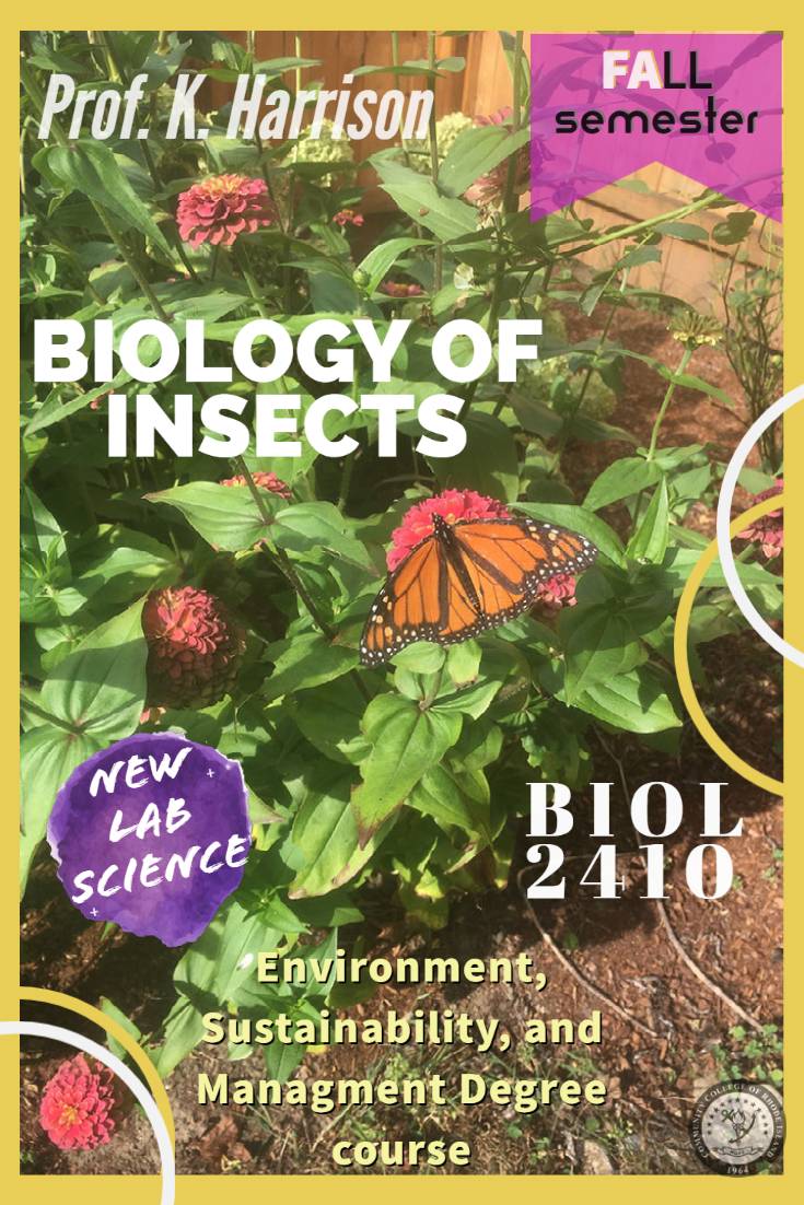 BIOL-2410
