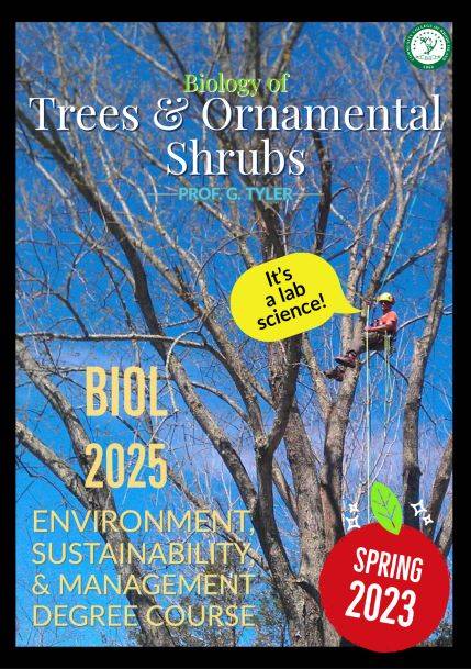 Trees and Shrubs