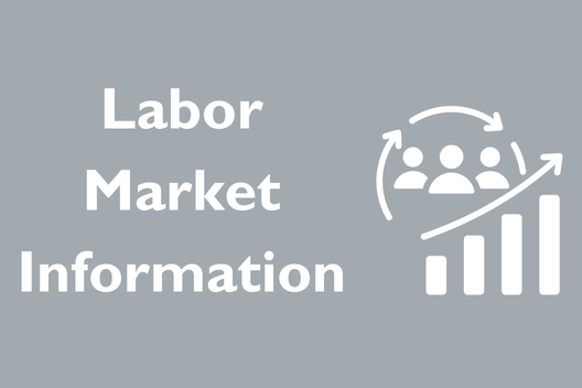 Labor Market Information (LMI)