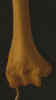 Dscn0950.jpg (7598 bytes)