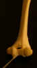 Dscn0956.jpg (9905 bytes)