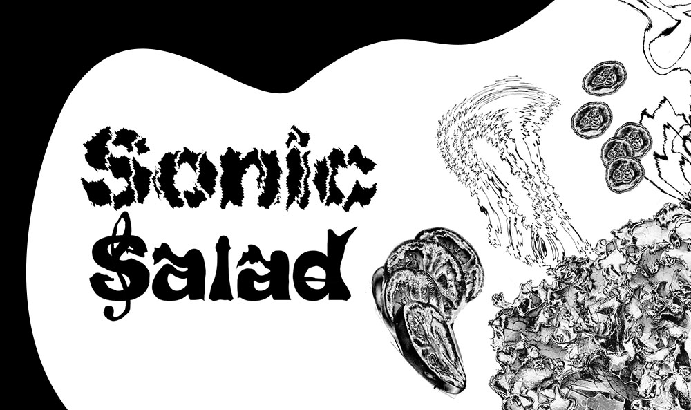 Sonic Salad - April 6th @ RISD Museum, 5-7pm
