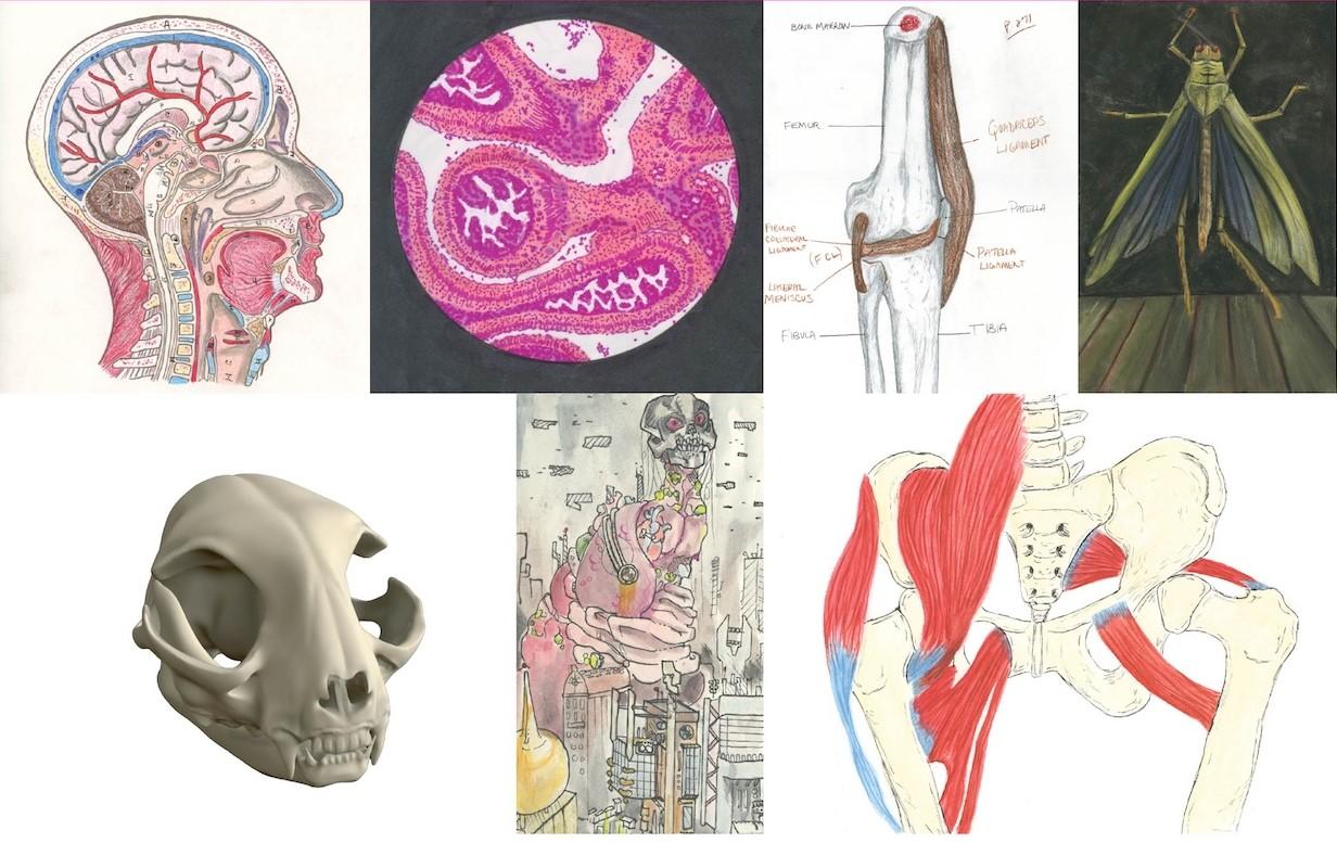 ILLUMINEXIONS - Knight Exhibition 