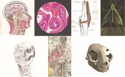 ILLUMINEXIONS - Flanagan Exhibition