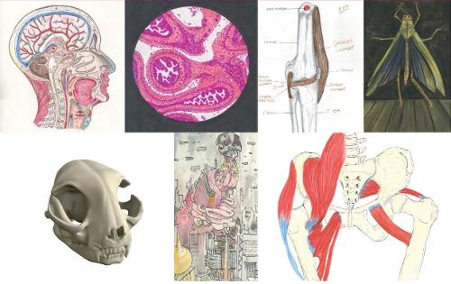 ILLUMINEXIONS - Knight Exhibition 