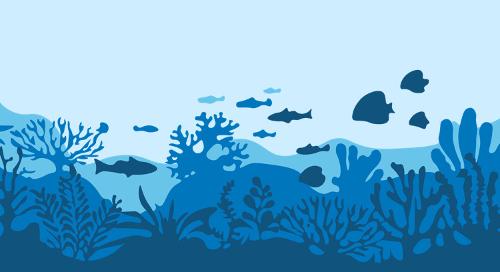 Bridge to Ocean Exploration (B2OE) Experiential Learning Program