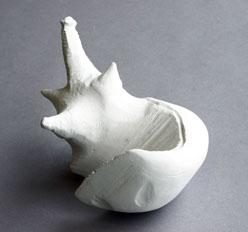 Nathan Adams Fall 2010 Maureen Kelman