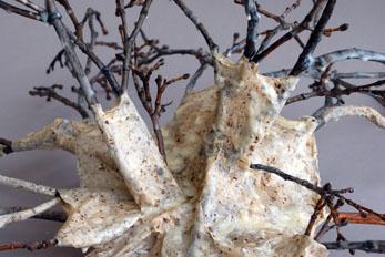 Carolina Rosario Fall 2010 Maureen Kelman