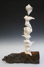 Emily Callaghan Fall 2012 Mazin Adam