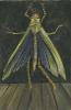 Grasshopper in Flight, Pastel