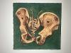 Pelvis Study in Pastel