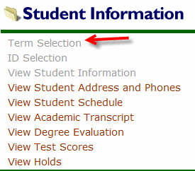image of Term Selection