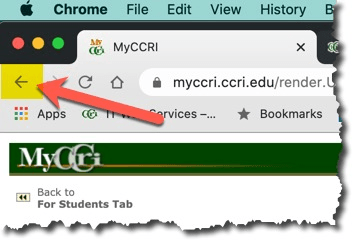 back button in browser
