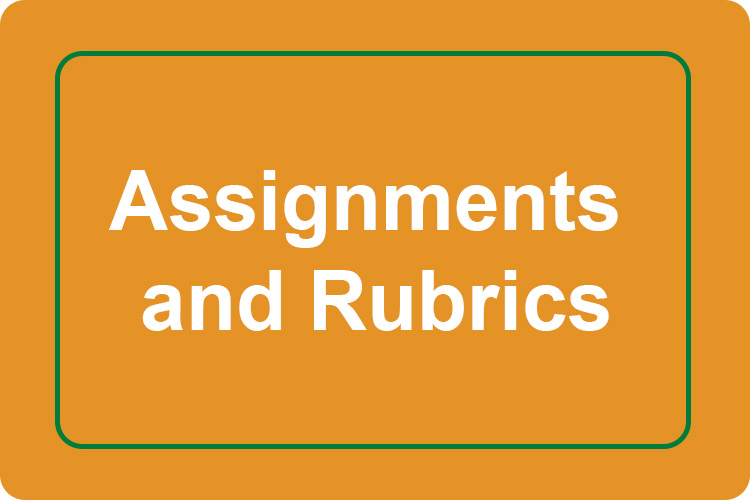 All about Assignments 