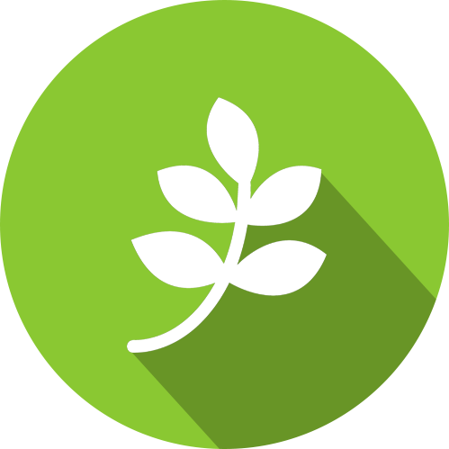 leaf icon